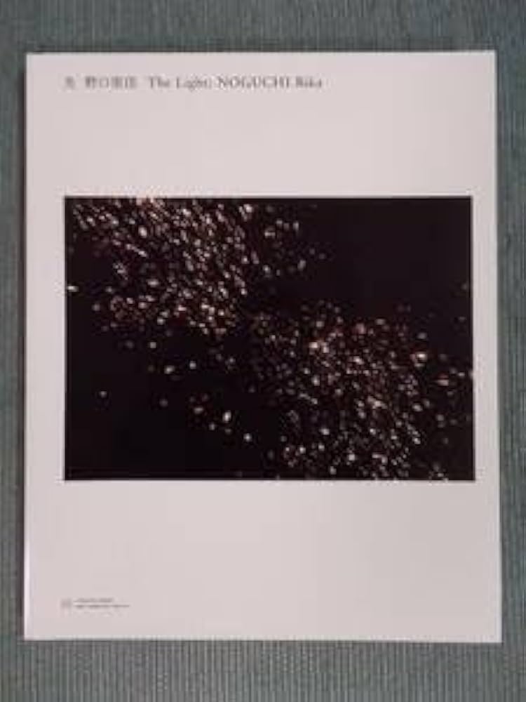 太陽　野口里佳 太陽 / 著：野口里佳 デザイン：中島英樹 | 小宮山書店 KOMIYAMA
